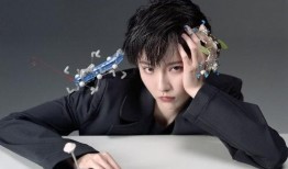 诸葛大力最新爆料,揭秘娱乐圈不为人知的秘密